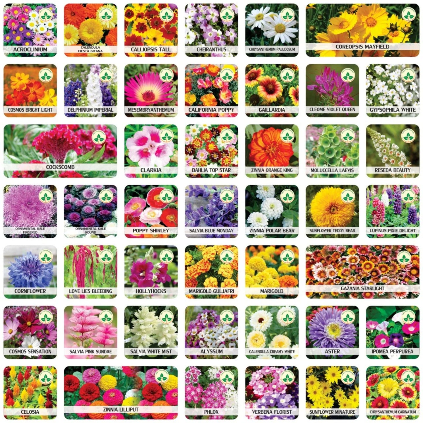 45 Varieties of Premium Flower Seeds Combo Pack